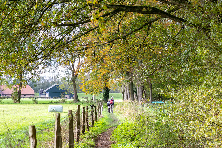 Flora en Fauna onderzoek