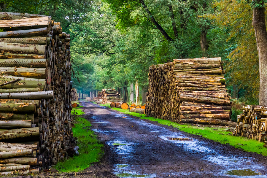 Natuurbescherming